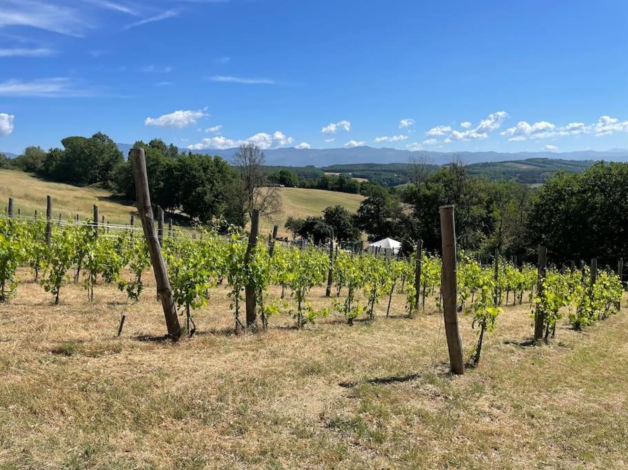 Luxury 1-Bedroom House With The Pool In Tuscany. Anghiari Exterior foto